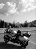 SNV30438bw.jpg