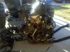 IMG_20110422_070404.jpg