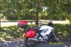 dcp_3769.jpg