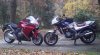 2011-11-10_09-50-39_425.jpg