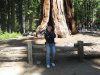 82 Randy and Giant Tree.jpg