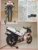 page3.jpg