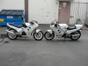 DSC03985.jpg