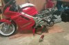 IMAG0214.jpg