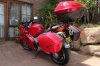IMG_1284_1024x683.jpg
