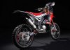 Honda-CRF450-Rally-back.jpg