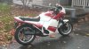 IMAG0339.jpg