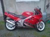 DSC00554.jpg