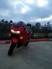 1901928_10203470078577728_1031139603_n.jpg