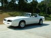 1978 Trans Am.jpg