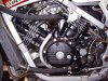 McMurter BIke 2.jpg