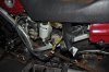 DSC_1556.jpg