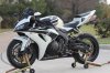 CBR orio.jpg