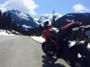 ducati.jpg