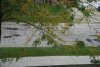 DSC_0002.jpg