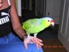 th_Img0220lesleyann.jpg