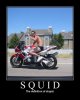SQUID.jpg