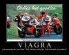Old Bikers.jpg