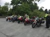 IMG_2875.jpg