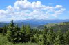 IMG_0195.jpg