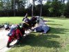 IMG_20160417_075548.jpg