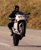 vfr wheelie.jpg