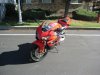 IMG_4251.jpg