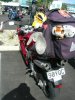toyrun 08.3.jpg