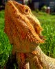 IMG_20171109_134248_588.jpg
