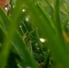 IMG_20171115_114342_273.jpg