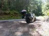 IMG_20180429_153519.jpg