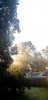 LRM_EXPORT_20180711_064725.jpg
