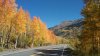 20180925_115653.jpg