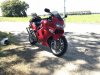 IMG_4265.jpg