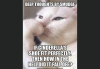 IMG_0173.PNG