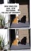 AB277CF0-D440-4253-BB94-4EAC2F364990.jpeg