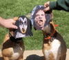 96807523-9478-4118-ABBE-5F0818050167.gif
