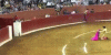 906FBDAF-31FD-4D3F-AA49-17DE1B555A12.gif