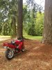 20200819_131128.jpg