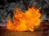 cat.jpg