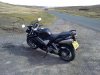 10042010084.jpg