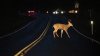 20221212-152008-news.221209.night.buck.jw_1.jpeg