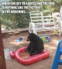 IMG_0032.jpeg