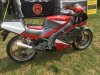 IMG_2955.jpeg