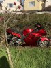 IMG_5833.jpeg