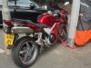 IMG_6842.jpeg
