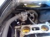 IMG00397-20110730-1508.jpg