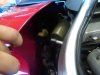 IMG00399-20110730-1513.jpg