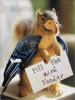 Bird Feeder.png