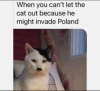 IMG_0553.png